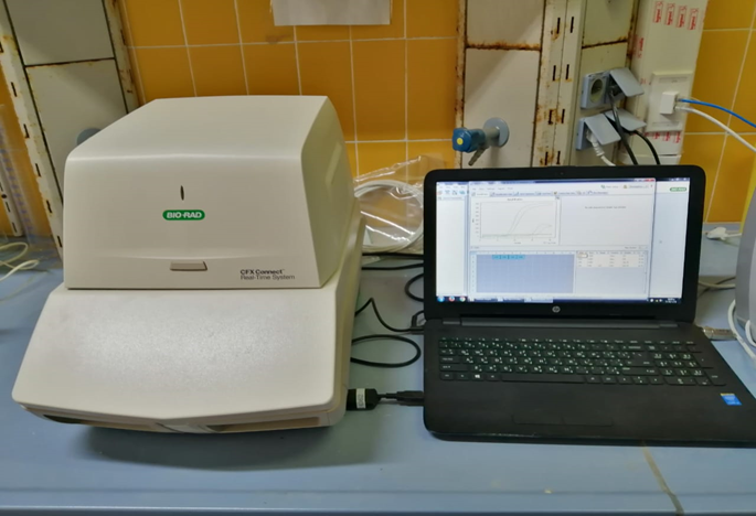 Molecular biology lab