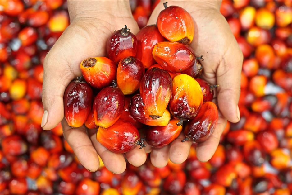 New Trends in the utilization of Palm Oil in Food Industry